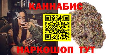 ешки Кингисепп