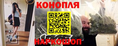 ешки Кингисепп